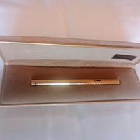 Stilografica Aurora Hastil placcata oro