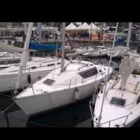 Barca a vela Gib Sea 262