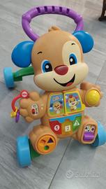 Cagnolino primi passi