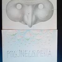 Pulcinellopedia piccola.