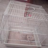 Gabbietta per criceto