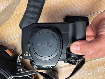 Canon eos rt