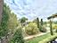 Immagine 7
