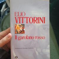 Il garofano rosso, Vittorini