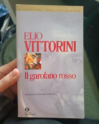 Il garofano rosso, Vittorini