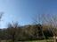 Immagine 7