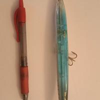 2 Artif. Savage Gear per il  Serra e la Leccia