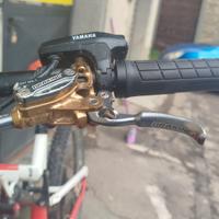 MTB elettrica gas gas 