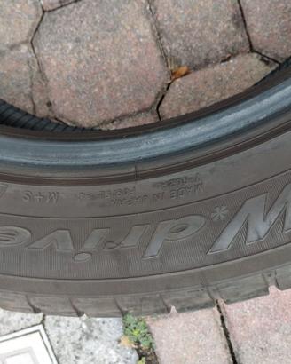 Gomme invernali YOKOHAMA 225/55R19 99V