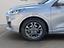 Immagine 19
