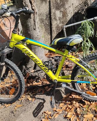 bicicletta bambino 