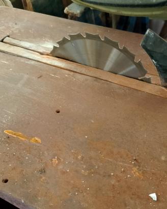 circolare per tagliare la legna