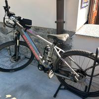 Bicicletta elettrica