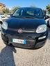 fiat-panda-1-2-lounge