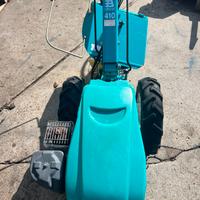 bertolini con aratro