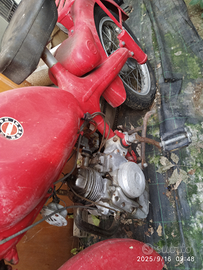 Motom 1 serie turismo