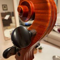 violoncello