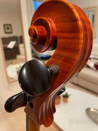 violoncello