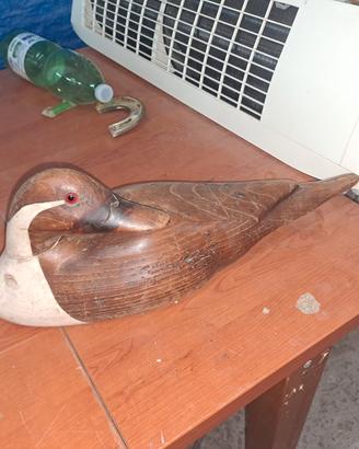 birilli 