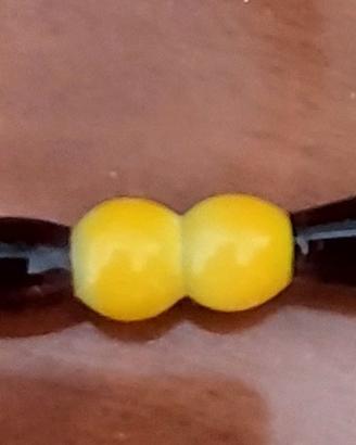 penna stilografica  in vetro 