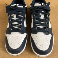 Nike DUNK UNISEX Sneakers basse