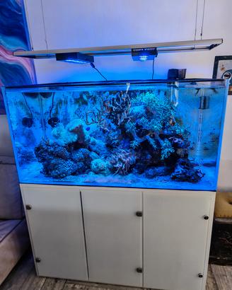 Acquario marino tropicale completo 