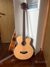 basso acustico 5 corde