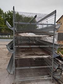 gabbia per galline ovaiole in bun stato 