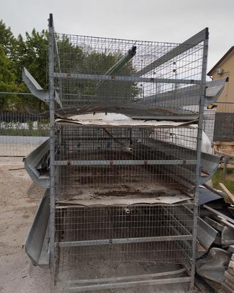 gabbia per galline ovaiole in bun stato 
