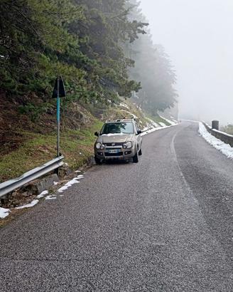 fiat Panda 4x4 Cross anno 2007