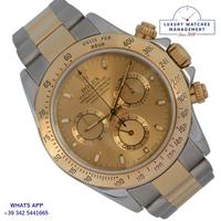 Rolex Daytona 116523 with symbol UAE Hawk Quraysh