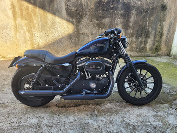 Harley Davidson Sportster 883 Iron