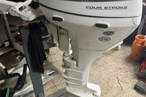 Johnson 9.9 - 15 4tempi perfetto 2008 gambo lungo