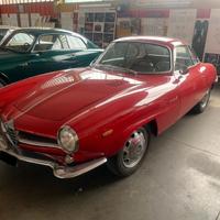 Alfa Romeo Giulia 1600 ss Please read announcement