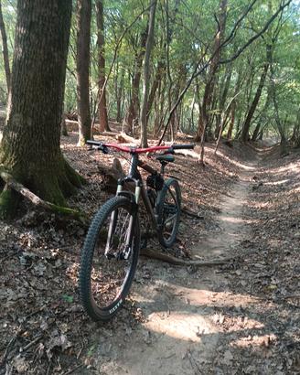 bici MTB rockrider 27,5