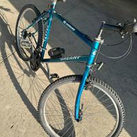 Bicicletta Mountain bike