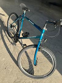 Bicicletta Mountain bike