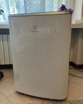 Condizionatore portatile - Electrolux