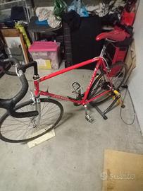 Bici colnago
