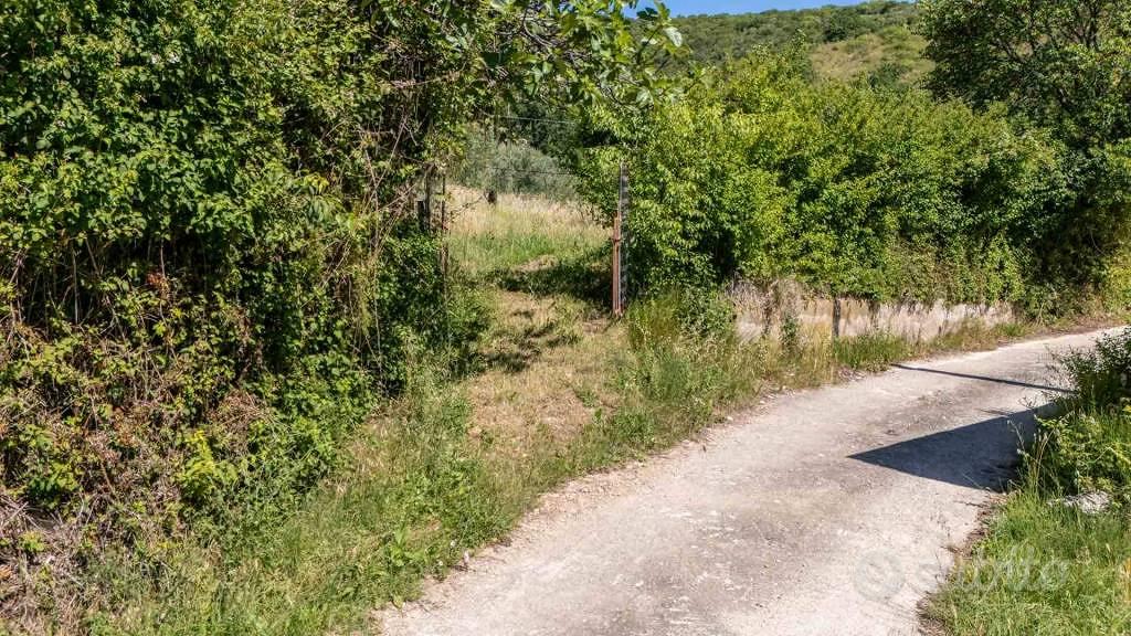 Terreno di 5460 m² a Salisano - Vista 2