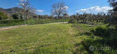 PALESTRINA: TERRENO AGRICOLO PIANEGGIANTE