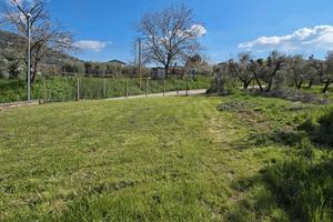 PALESTRINA: TERRENO AGRICOLO PIANEGGIANTE