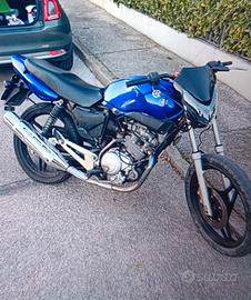 Yamaha YBR 125 - 2006