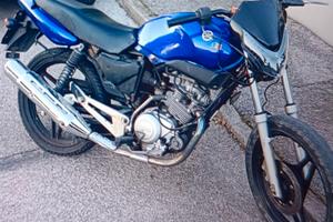 Yamaha YBR 125 - 2006