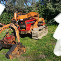 Trattrice agricola Massey Ferguson con pinza