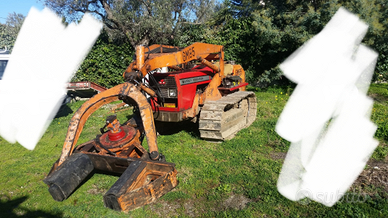 Trattrice agricola Massey Ferguson con pinza