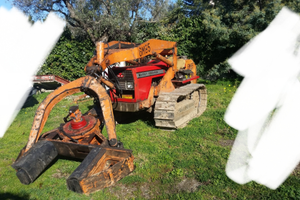 Trattrice agricola Massey Ferguson con pinza