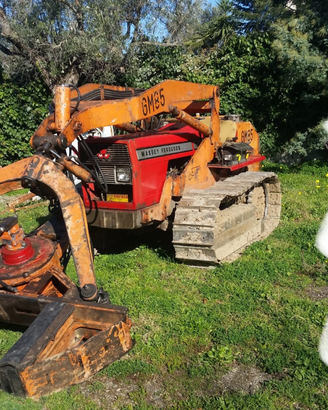 Trattrice agricola Massey Ferguson con pinza