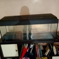 Acquario 200 litri