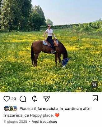 cavallo paint no color